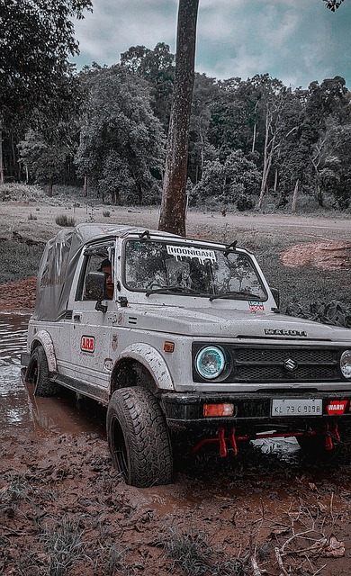 恢复而稍稍 恢复而稍稍