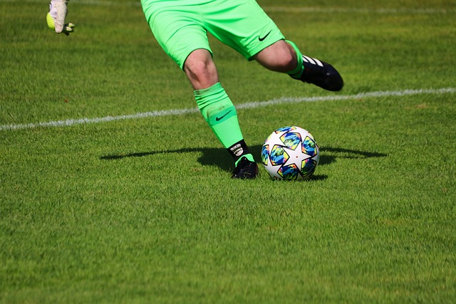 体语言的监 体语言的监