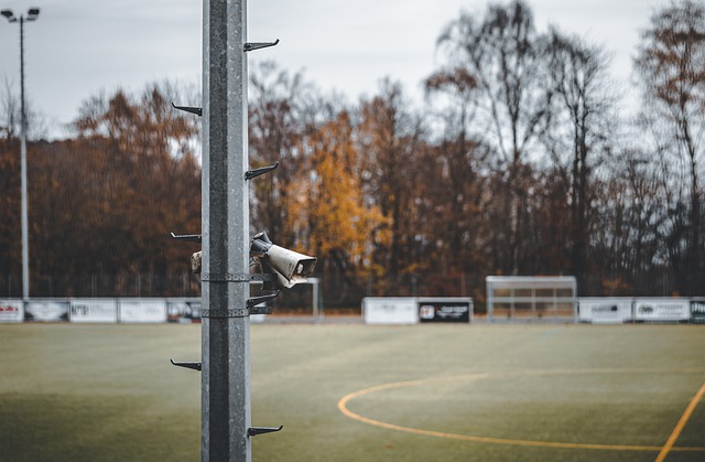 素质的充分 素质的充分