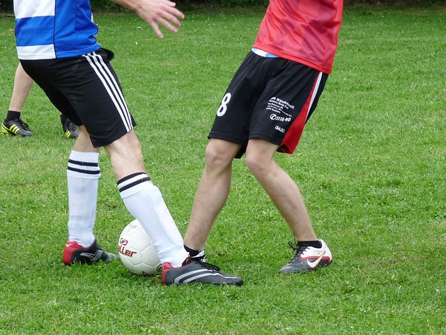 家粮食安全 家粮食安全