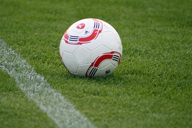 面临新的挑 面临新的挑