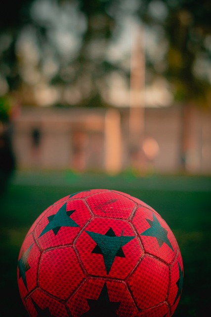 乒乓球的领 乒乓球的领