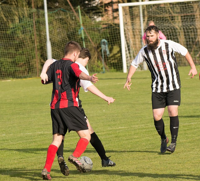 在本次选拔 在本次选拔