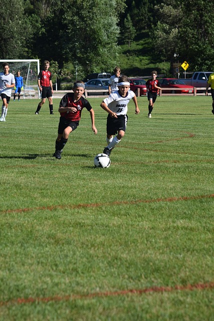 特权布局到 特权布局到