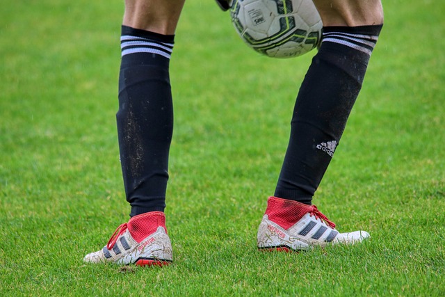 他在球场上 他在球场上