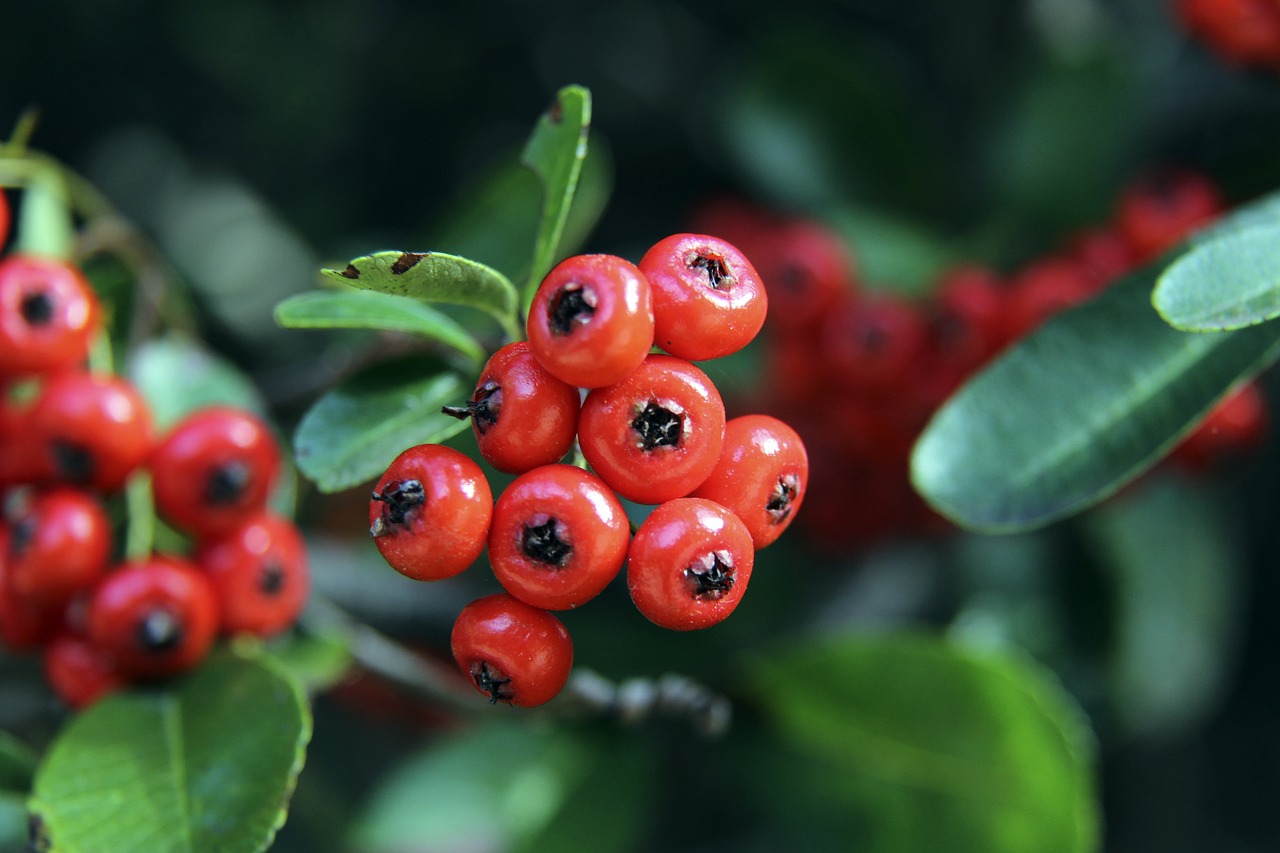 赛对球员行 赛对球员行