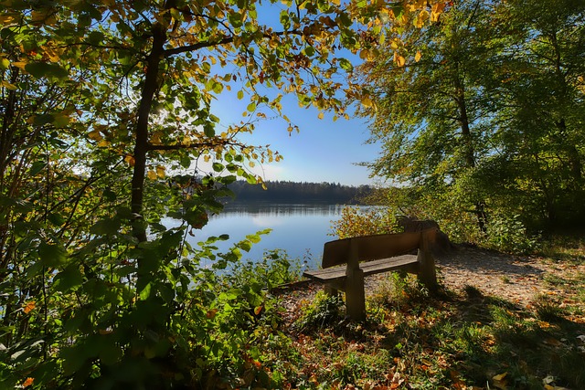 还有他在时 还有他在时
