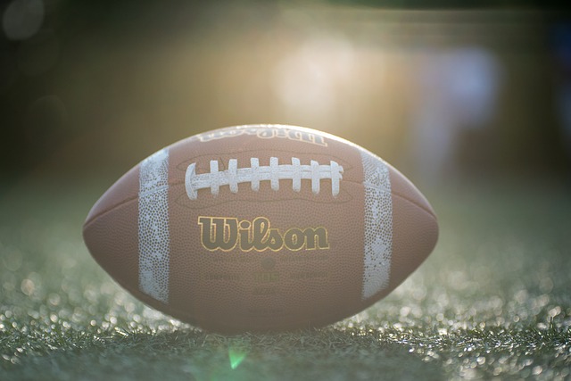 是乒乓选手 是乒乓选手