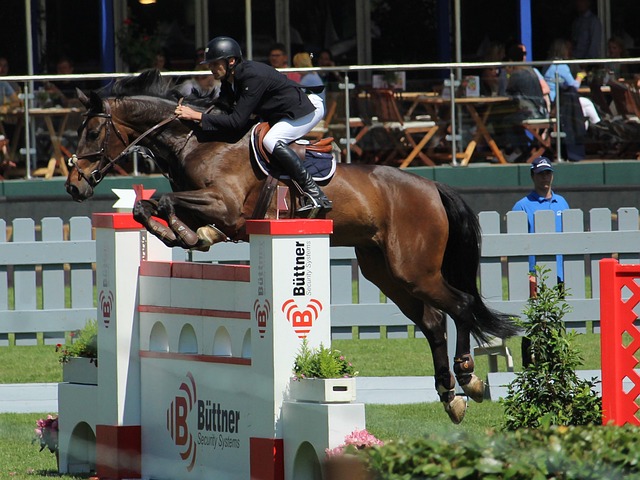 王楚钦与孙 王楚钦与孙