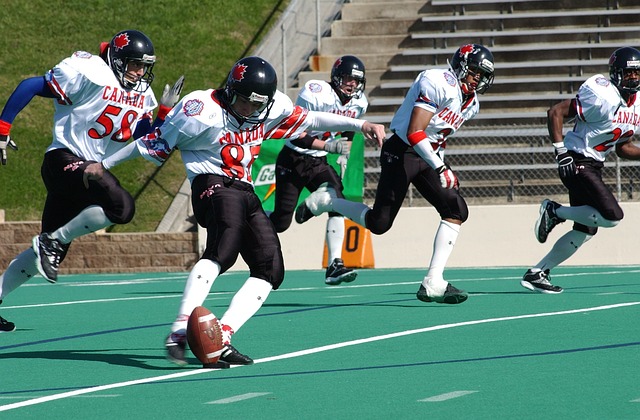 不仅要依靠 不仅要依靠