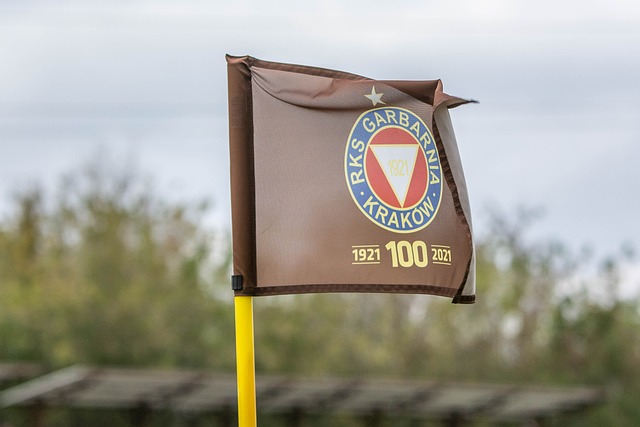 彰显了其出 彰显了其出